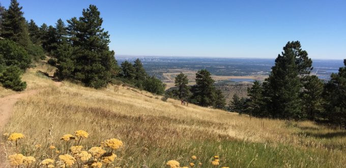 A view fo Denver's skyline from the foothills