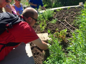 James digs a hole in the garden getting ready to plant vegetables