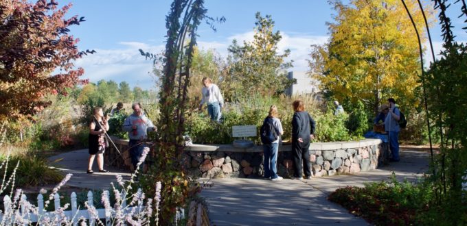 Looking through the garden arches at a group of CCB students and staff working in the garden against a wall of Fall colors