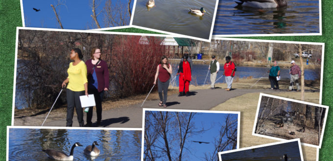 a group walking on a paved path around the pond, using white canes. Photos of various birds border the central shot.