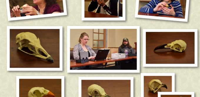 Top row: Blanca, Chaz and CC looking at skulls, Center row: Eagle skull, Allie and Tyler playing bird sounds on the computer, Raven skull, Bottom row: Cardinal skull, Northern Flicker skull, Turkey skull and Blue Jay skull