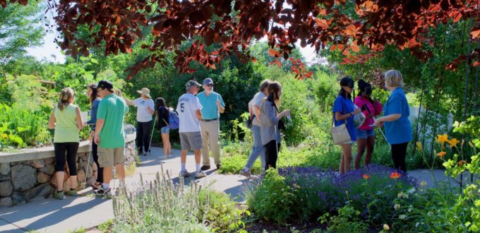Large group of Summer Youth out in the garden with their bags full of things they picked