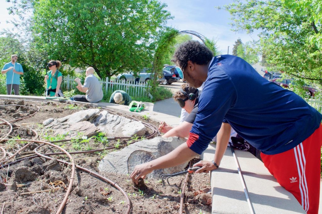 Abdi uses a hand cultivator to loosen the soil around smaller weeds so he can get the roots