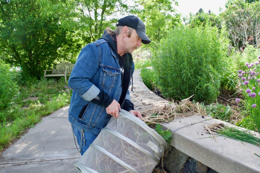 Brad fills a large container with old dead growth and weeds