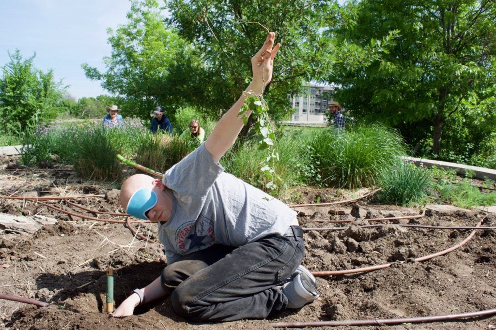 Tyler holds up a weed with a foot-long root