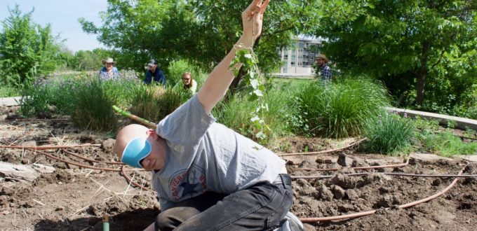 Tyler holds up a weed with a root over a foot long that he dug down deep to get out