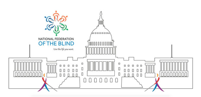 Drawing of the US Capitol with the NFB Logo and Whosits in front of the steps